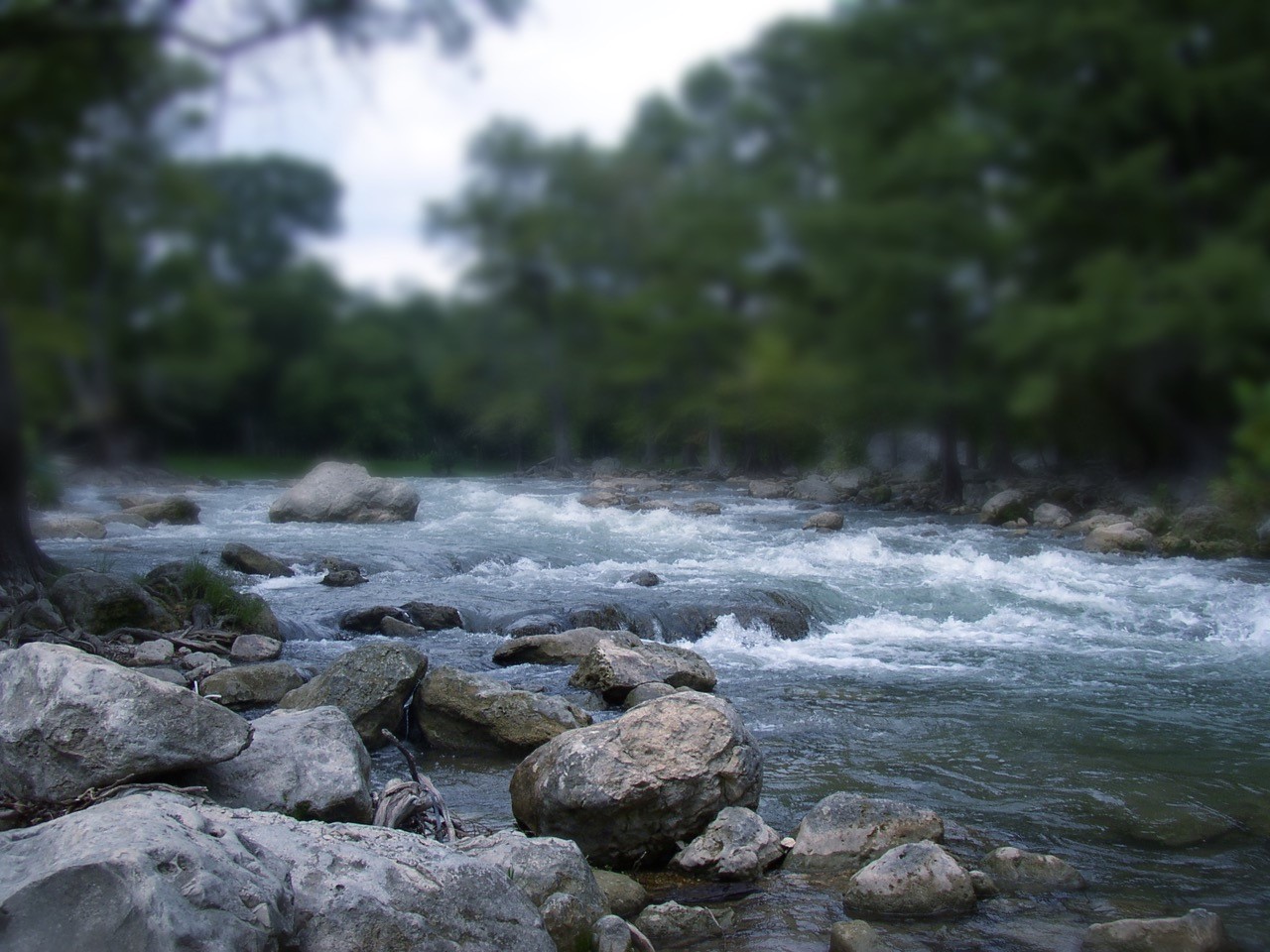 Guadalupe | Comal River Flow